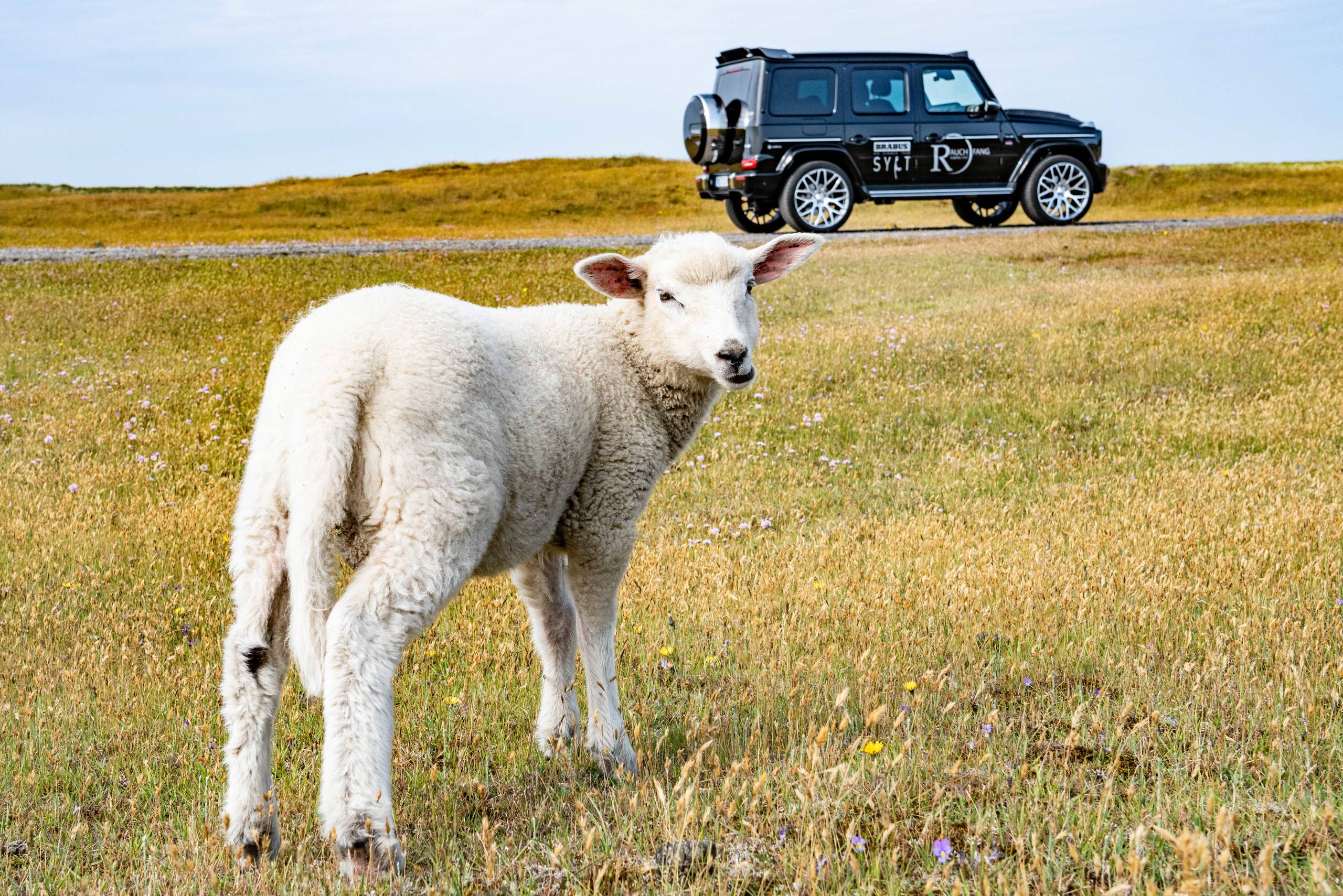 BRABUS 550 Sylt based on G500 (15)