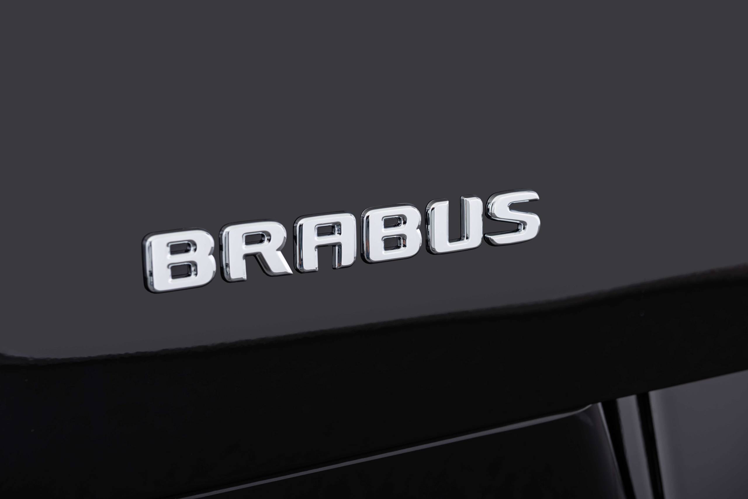 BRABUS D30 based on V 300  (10)